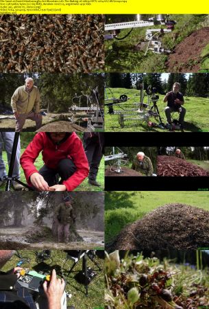 Terra Mater - Attenboroughs Ant Mountain (2017) 1080p HDTV x264 AAC MVGroup