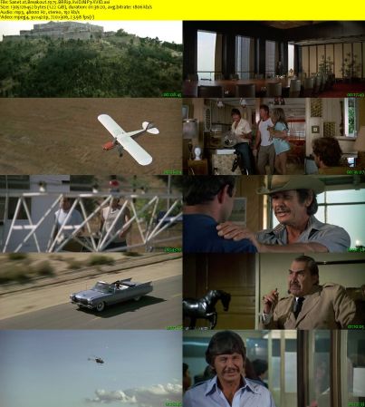 Breakout 1975 BRRip XviD MP3-XVID