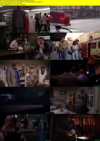 Special Delivery 1976 BRRip XviD MP3-XVID