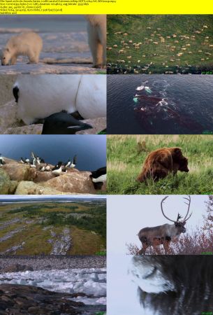 Smithsonian Earth - Arctic Secrets: Series 1 (2015) 1080p HDTV x264 AAC MVGroup