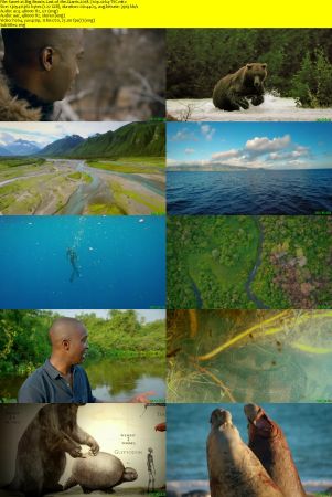 Big Beasts Last of the Giants: The Americas (2018) 720p x264-TVC