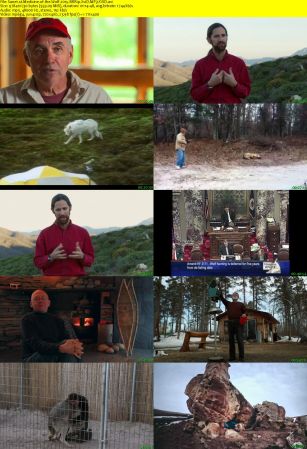 Medicine of the Wolf 2015 BRRip XviD MP3-XVID