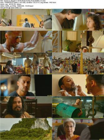 Baaghi 2 2018 Hindi Dvdrip Xvid-DEMO
