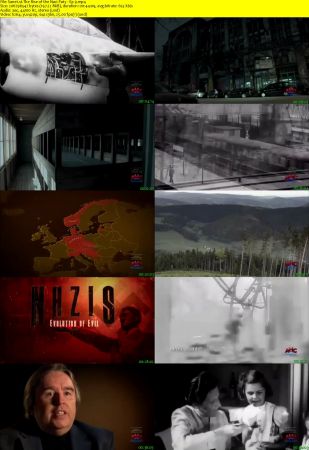 The Rise of the Nazi Party 2013 Web-DL x264-TVC