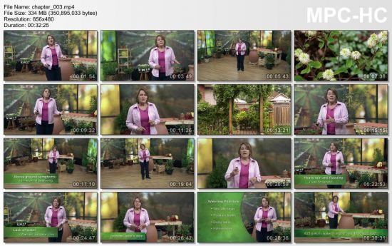 How to Grow Anything: Make Your Trees and Shrubs Thrive