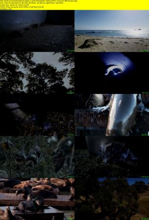 Smithsonian Earth - Animal Empires: Series 1 (2016) 1080p HDTV x264 AAC MVGroup
