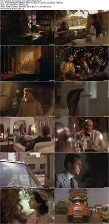 Immaculate Conception 1992 DVDRip AAC x264-NOGRP