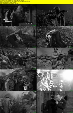 Pork Chop Hill 1959 BRRip XviD MP3-XVID