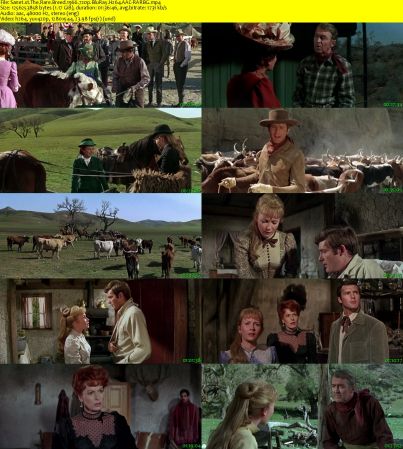 The Rare Breed 1966 720p BluRay H264 AAC-RARBG