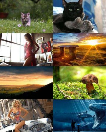 Desktop Wallpapers Mixed Pack # 676