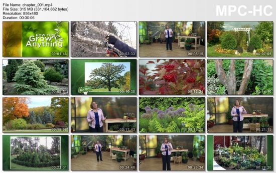 How to Grow Anything: Make Your Trees and Shrubs Thrive