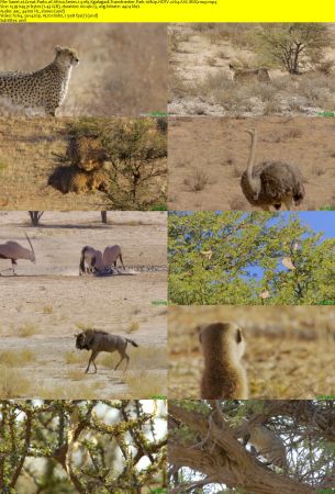 Smithsonian Earth - Great Parks of Africa: Series 1 (2017) 1080p HDTV x264 AAC MVGroup