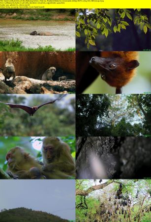 LoveNature - Mysteries of the Mekong Series 1 Part 05: Thailand: Nature's Crossroads (2017) 1080p HDTV x264 AAC MVGroup