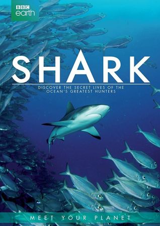 Shark 2015 BluRay 720p x264 DTS-HDC