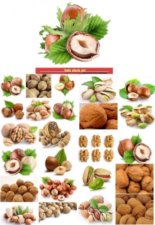 Nuts stock set