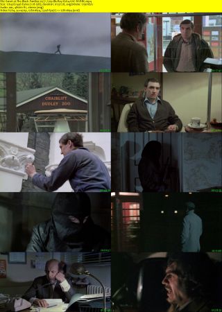 The Black Panther 1977 720p BluRay H264 AAC-RARBG