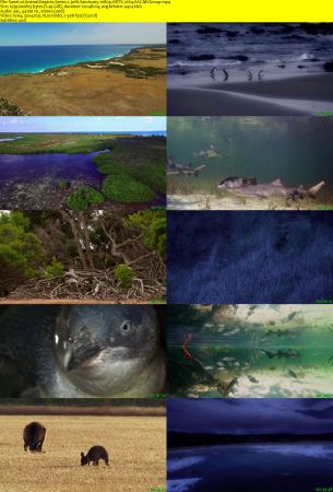 Smithsonian Earth - Animal Empires: Series 1 (2016) 1080p HDTV x264 AAC MVGroup