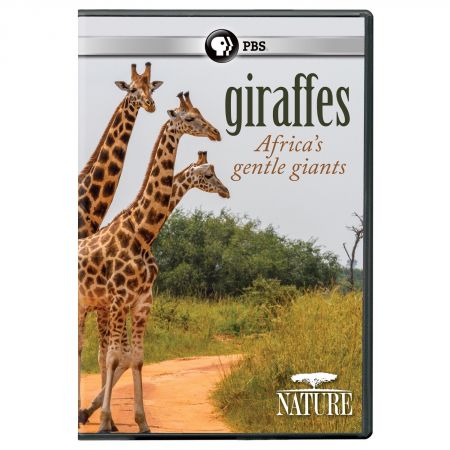 PBS - NATURE: Giraffes: Africa's Gentle Giants (2018) iNTERNAL 720p HDTV x264-W4F