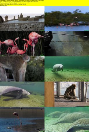 Smithsonian Earth - Animal Empires: Series 1 (2016) 1080p HDTV x264 AAC MVGroup