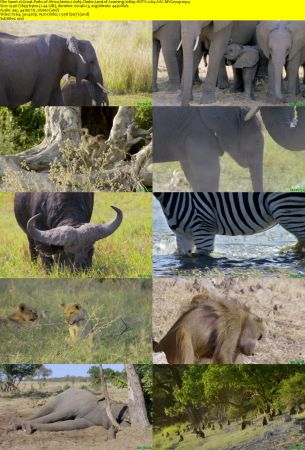 Smithsonian Earth - Great Parks of Africa: Series 1 (2017) 1080p HDTV x264 AAC MVGroup
