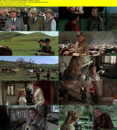 The Rare Breed 1966 BRRip XviD MP3-XVID