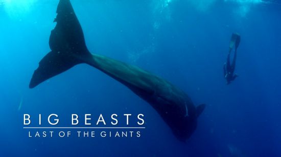 Big Beasts Last of the Giants 2018 720p x264-TVC