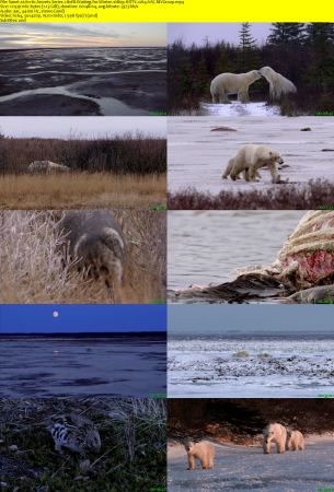 Smithsonian Earth - Arctic Secrets: Series 1 (2015) 1080p HDTV x264 AAC MVGroup