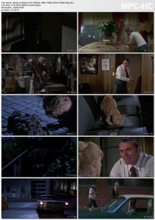 Willard 1971 BDRip 10Bit 1080p DD2.0 H265-d3g