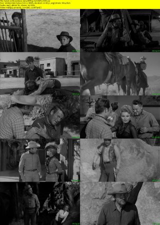 Showdown 1963 BRRip XviD MP3-XVID