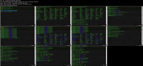 Linux Academy - Learn To Run Linux Servers From Scratch (LPI Level 1-101)