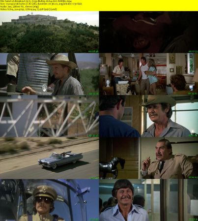 Breakout 1975 720p BluRay H264 AAC-RARBG