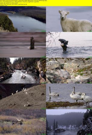 Smithsonian Earth - Arctic Secrets: Series 1 (2015) 1080p HDTV x264 AAC MVGroup