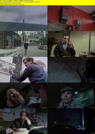 The Black Panther 1977 BRRip XviD MP3-XVID