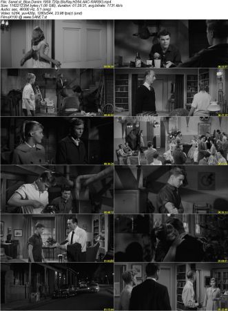 Blue Denim 1959 720p BluRay H264 AAC-RARBG