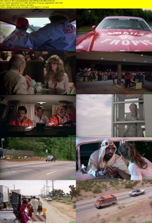 The Cannonball Run 1981 BRRip XviD MP3-XVID