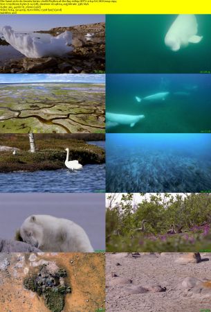 Smithsonian Earth - Arctic Secrets: Series 1 (2015) 1080p HDTV x264 AAC MVGroup