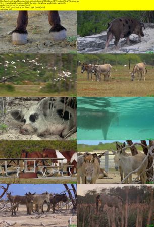 Smithsonian Earth - Animal Empires: Series 1 (2016) 1080p HDTV x264 AAC MVGroup