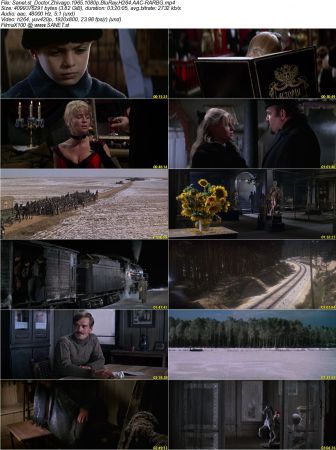 Doctor Zhivago 1965 1080p BluRay H264 AAC-RARBG