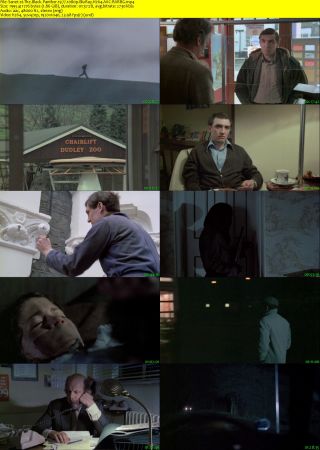 The Black Panther 1977 1080p BluRay H264 AAC-RARBG