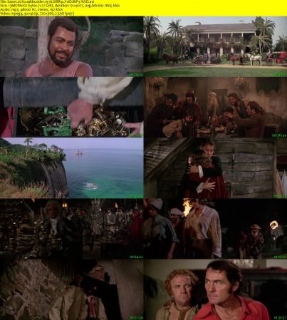 Swashbuckler 1976 BRRip XviD MP3-XVID