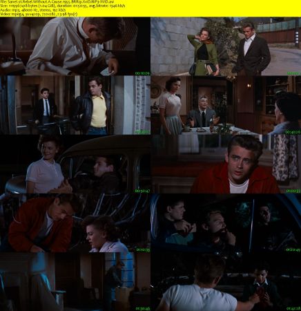 Rebel Without A Cause 1955 BRRip XviD MP3-XVID
