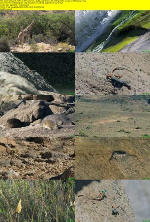 Smithsonian Earth - Great Parks of Africa: Series 1 (2017) 1080p HDTV x264 AAC MVGroup