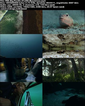 PBS - Big Pacific (2017) 1080p HDTV 264 MVGroup