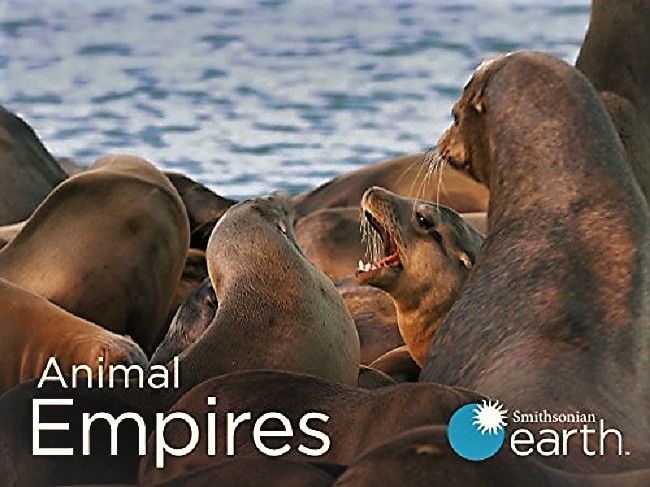 Smithsonian Earth - Animal Empires: Series 1 (2016) 1080p HDTV x264 AAC MVGroup