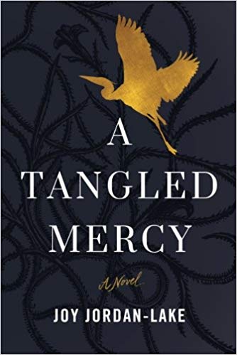 A Tangled Mercy: A Novel