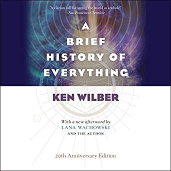 A Brief History of Everything (Audiobook)