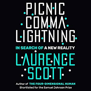 Picnic Comma Lightning: In Search of a New Reality (Audiobook)