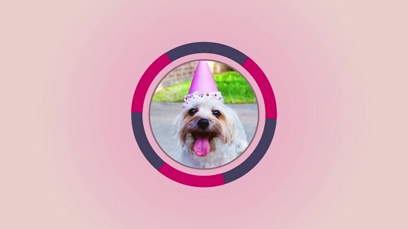 Fast Photo Intro 70589 - After Effects Templates
