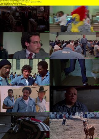 Stir Crazy 1980 BRRip XviD MP3-XVID