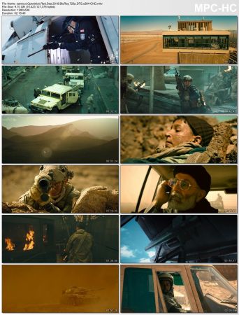 Operation Red Sea 2018 CHINESE 720p BluRay x264 DTS CHD
